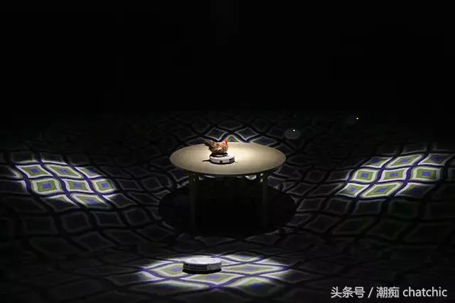 NewGucci：一本正经地有趣，经验老到地纯真！