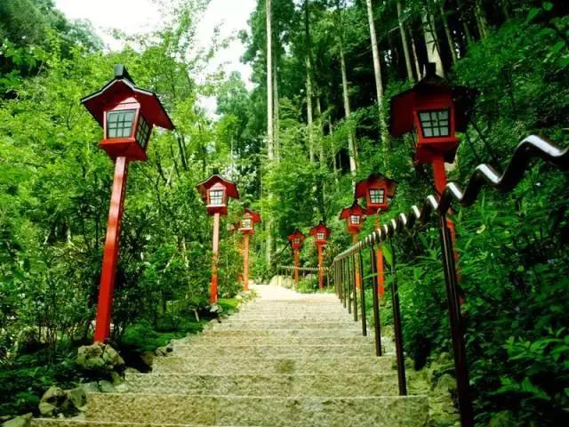 买特价飞机票攻略,买特价机票注意事项