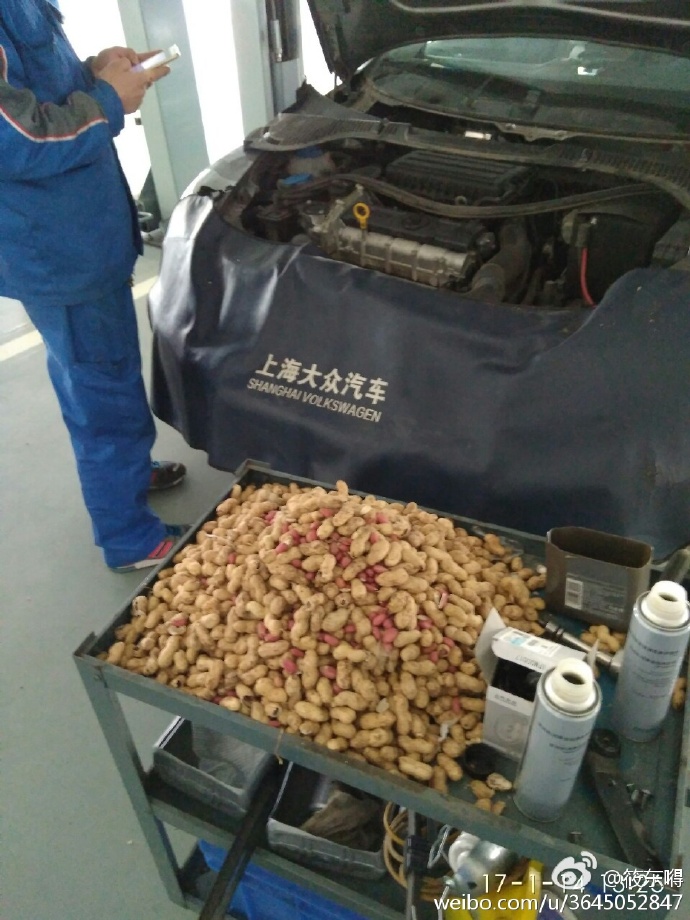 车内生存50天,车内大作战