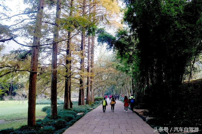 武夷山2日游线路,武夷山两日游团价格表