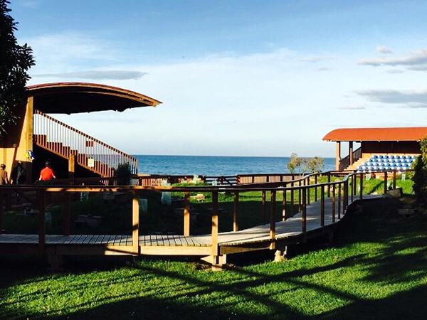 新西兰特色动物有哪些,新西兰奇异动物有哪些