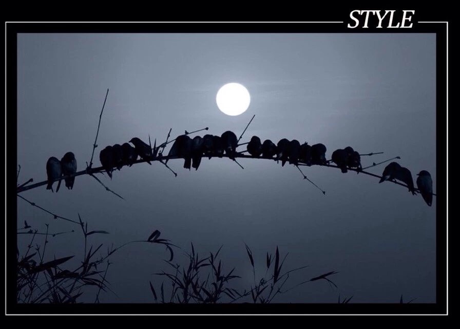 朋友越走越远感情越来越淡,真正的朋友越走越少