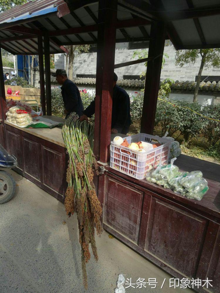 陕北俊俏女子勇闯袁家村大嘴吃四方