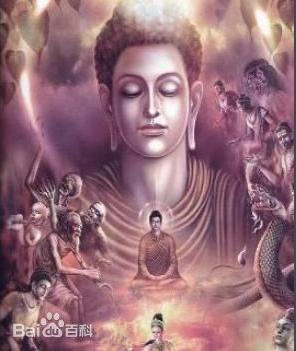 张善人怎么死的,张善人是怎么死的