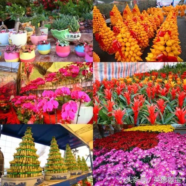 英德美丽的花街,英德花街