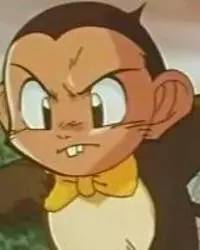 猴年说猴中猴的特点,猴年说猴