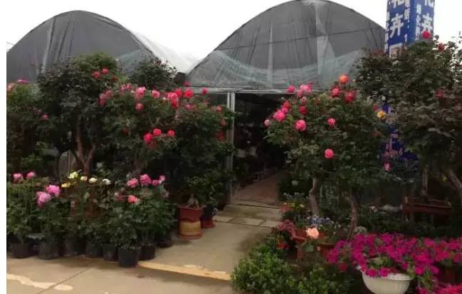 苏州年货批发市场,苏州各大批发市场