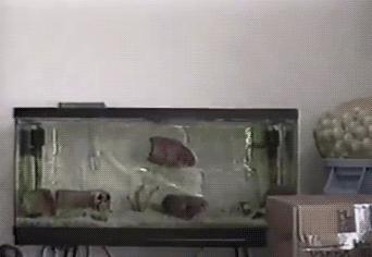 信息快报|第281期(今日共18条)好想使劲抓着雾霾脖领子,问问他我的快递呢?