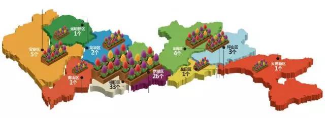 深圳春节花市主会场,逛深圳迎春花市