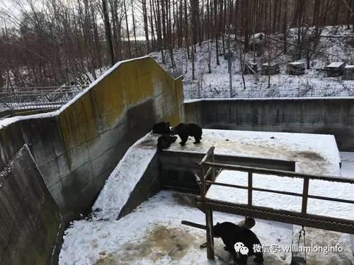 日本北海道旅游攻略自由行,日本大阪旅游攻略