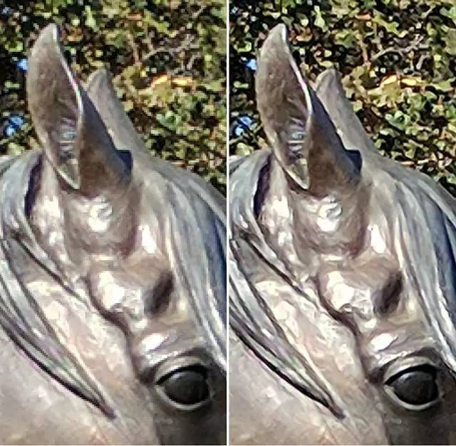 Q新闻丨Google发布新的图像压缩技术，最高可节省75%带宽；Java9引入了aot编译方式；人工智能将如何帮助软件团队？