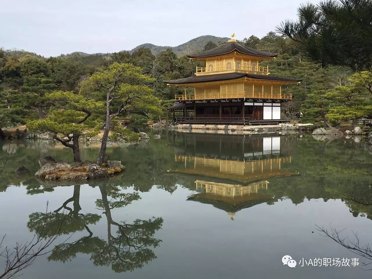 京都大阪北海道9天,大阪北海道东京攻略
