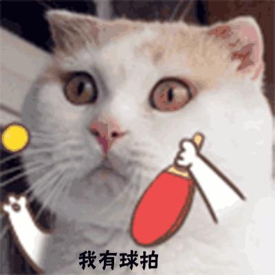 做四有军人,做豚鼠便当