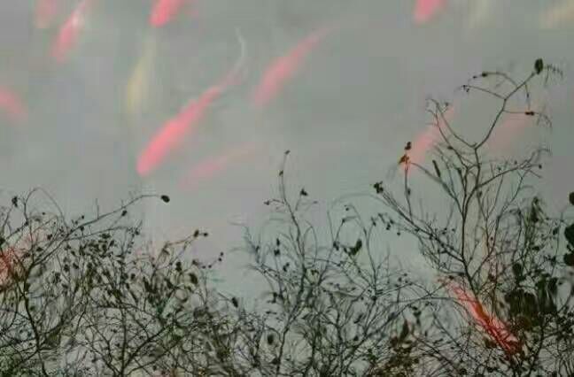 看完这些摄影作品点评，你的摄影技能会有大幅提升