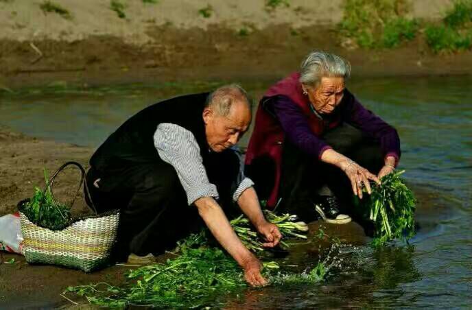 看完这些摄影作品点评，你的摄影技能会有大幅提升