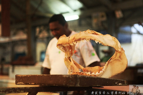 在外国街头演唱中国乐器,在外国街头演奏市集音乐