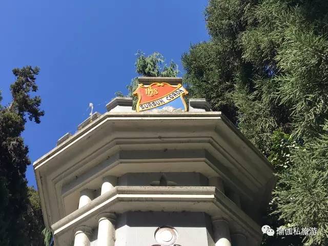 苏摩教育导师约稿｜闻中：印度大吉岭之七日（结尾）