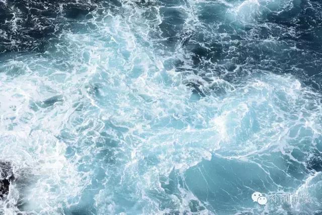 补剂中的防腐剂多吗,补剂的成分有哪些