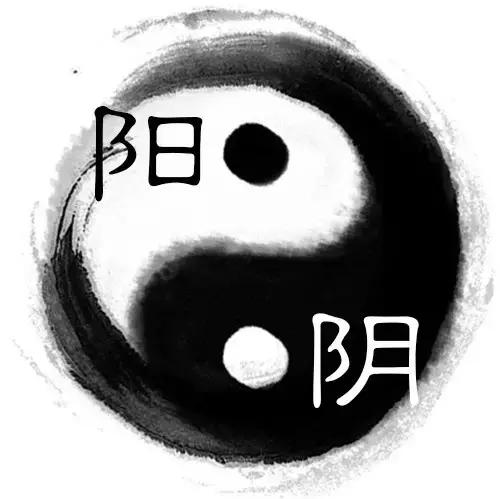 易经中的阴阳指的男人和女人,易经男女阴阳二合一之道