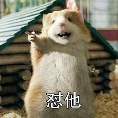 老鼠存花生被车主发现,老鼠在车里存一年花生被车主没收