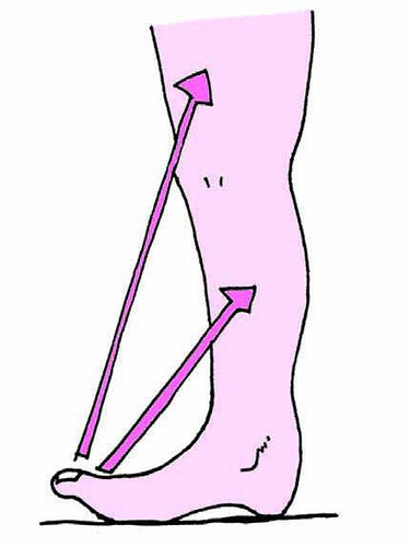 脚掌外展内收懒人瘦小腿三个动作,脚怎样着地跑得更快