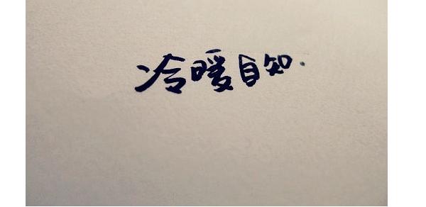 新媒源传媒,新媒体和自媒体的发展现状