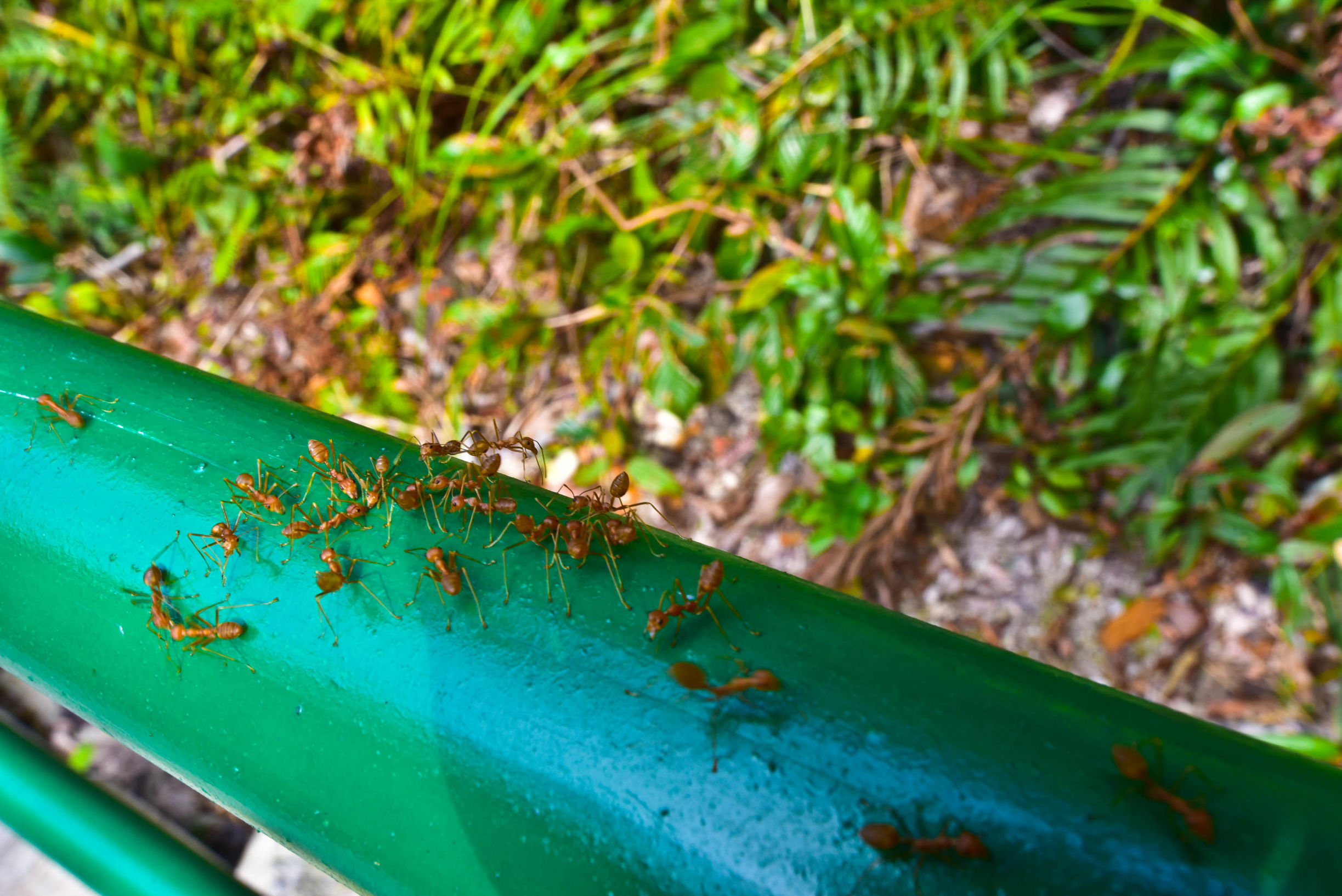 兔子游云南,兔子游老君山视频