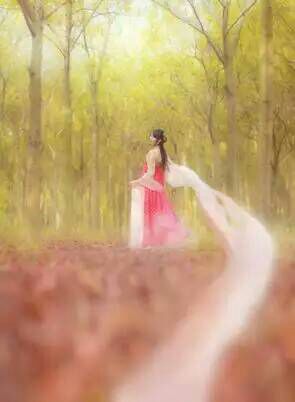 看完这些摄影作品点评，你的摄影技能会有大幅提升