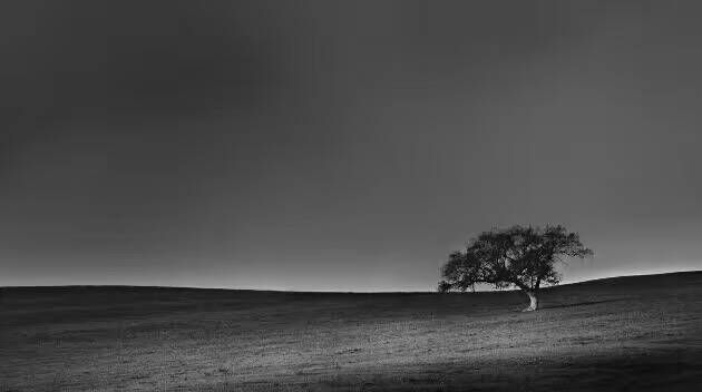 看完这些摄影作品点评，你的摄影技能会有大幅提升