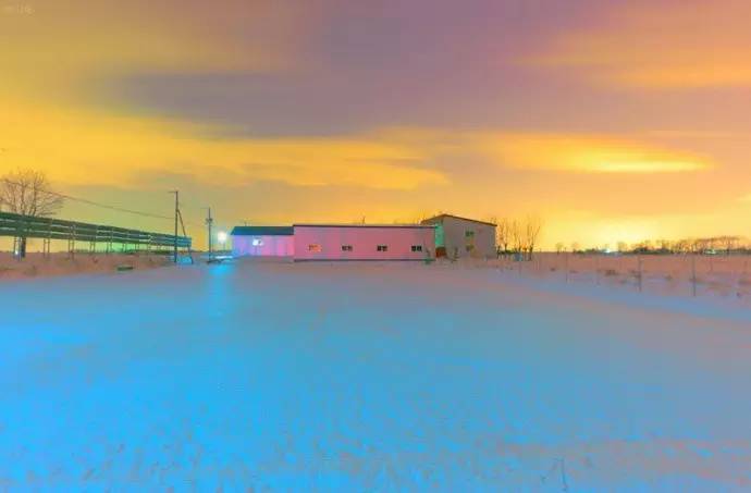 微观茶市丨古茶树安装GPS定位意义何在？