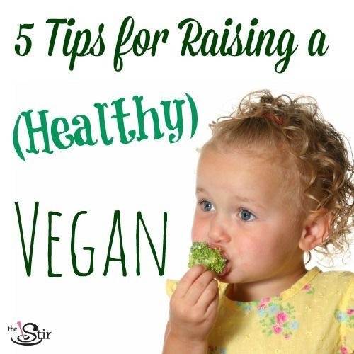 海淘辅食可以做什么,海淘辅食哪个好