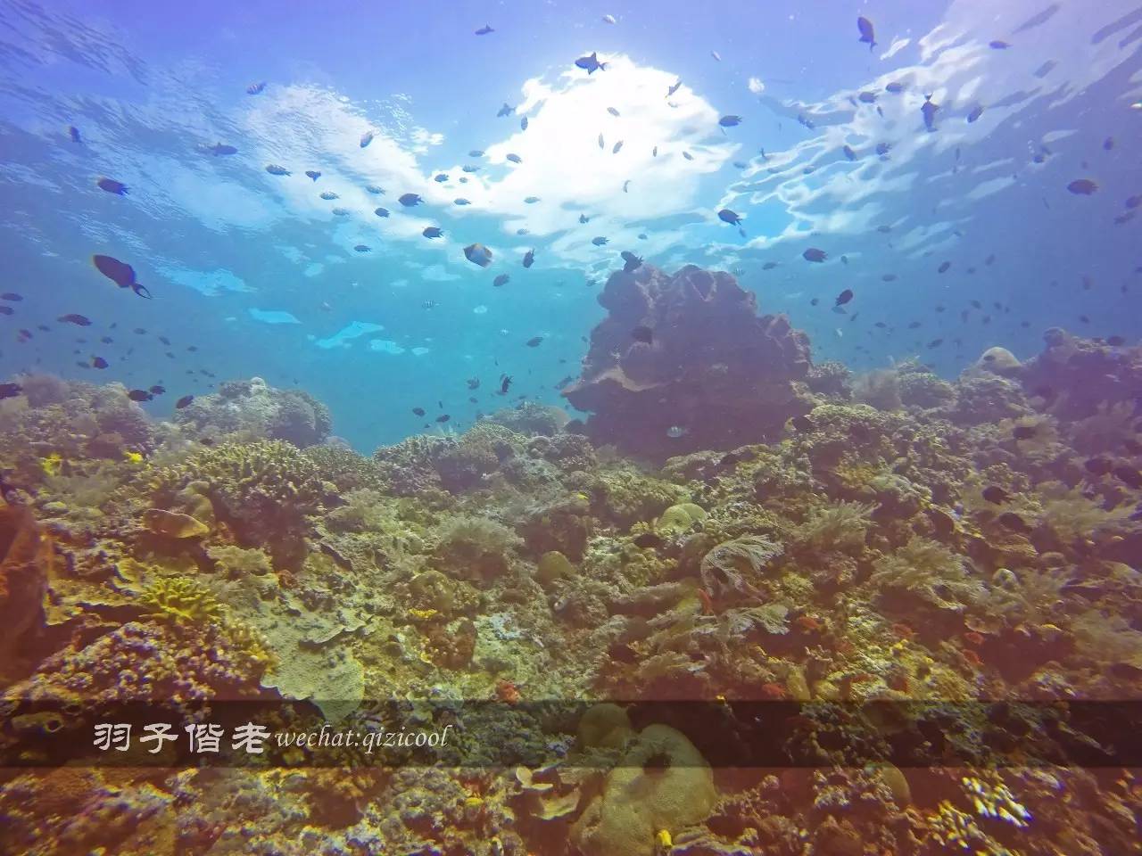 美娜多海岛一日游,印尼美娜多跟团游