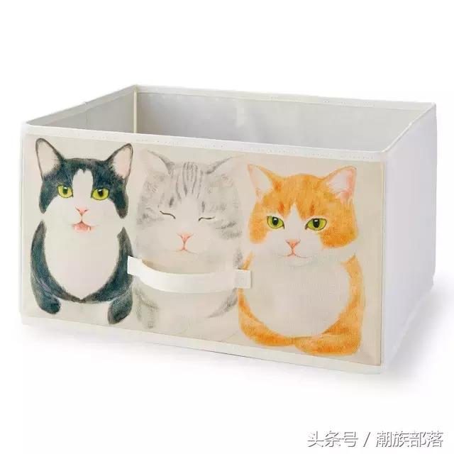 猫控营养补充剂,猫控