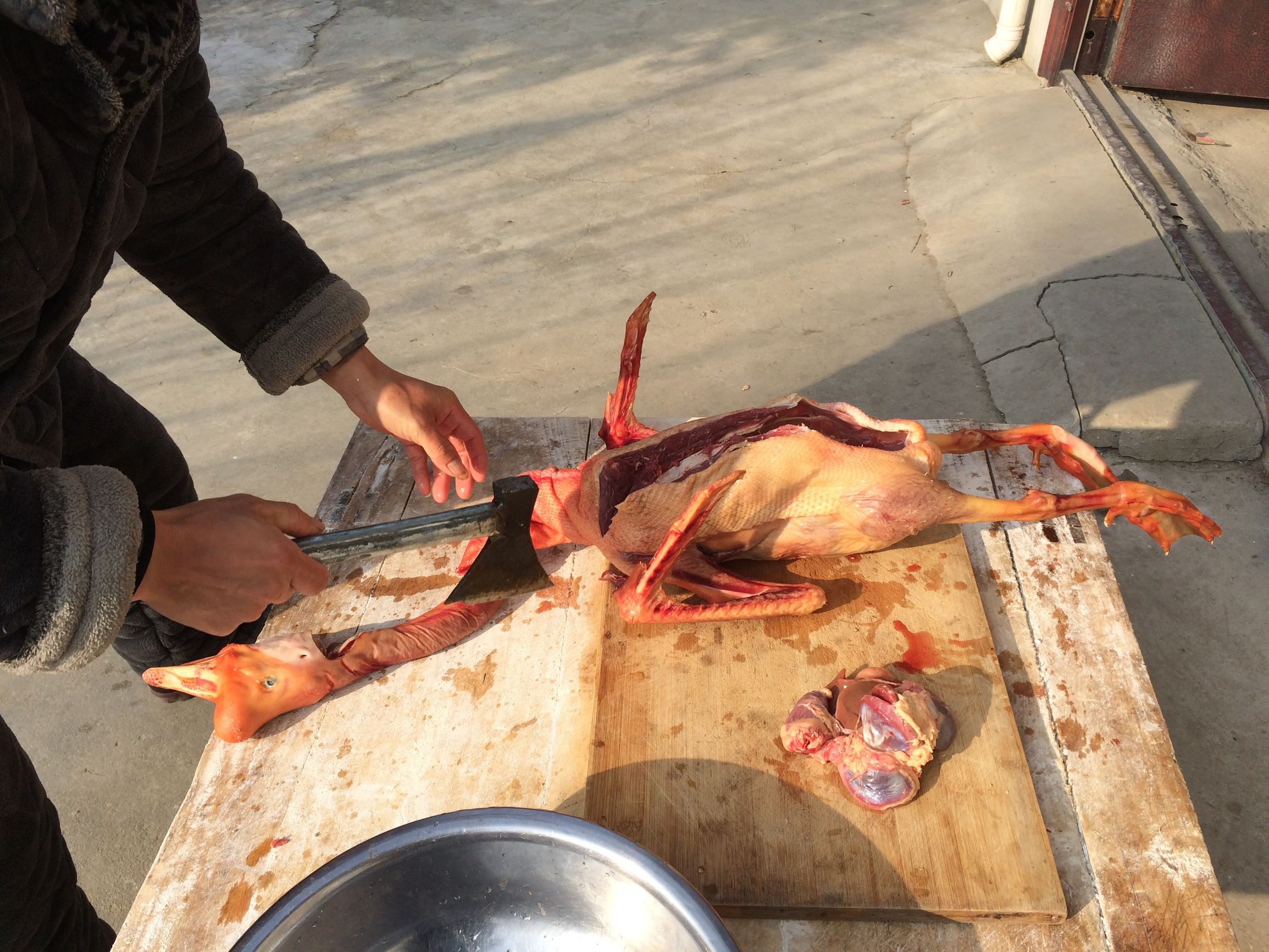 东北农村杀大鹅,农村里杀大鹅