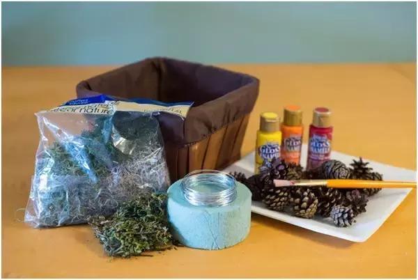 原来松果还可以这么美,原来红杉树也可以很美