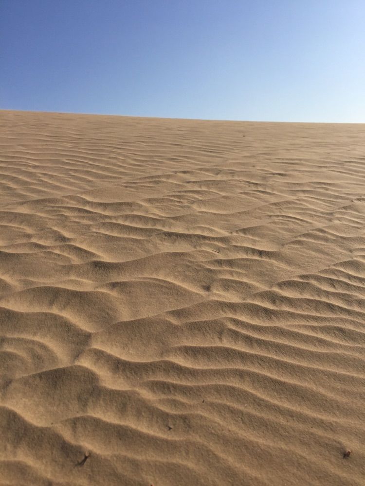 我爱远方风景,我爱远方和自由