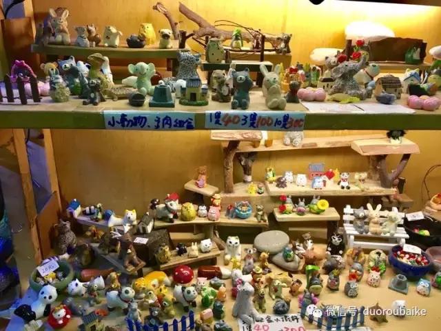 春节花市的鲜花,春节能看花的植物