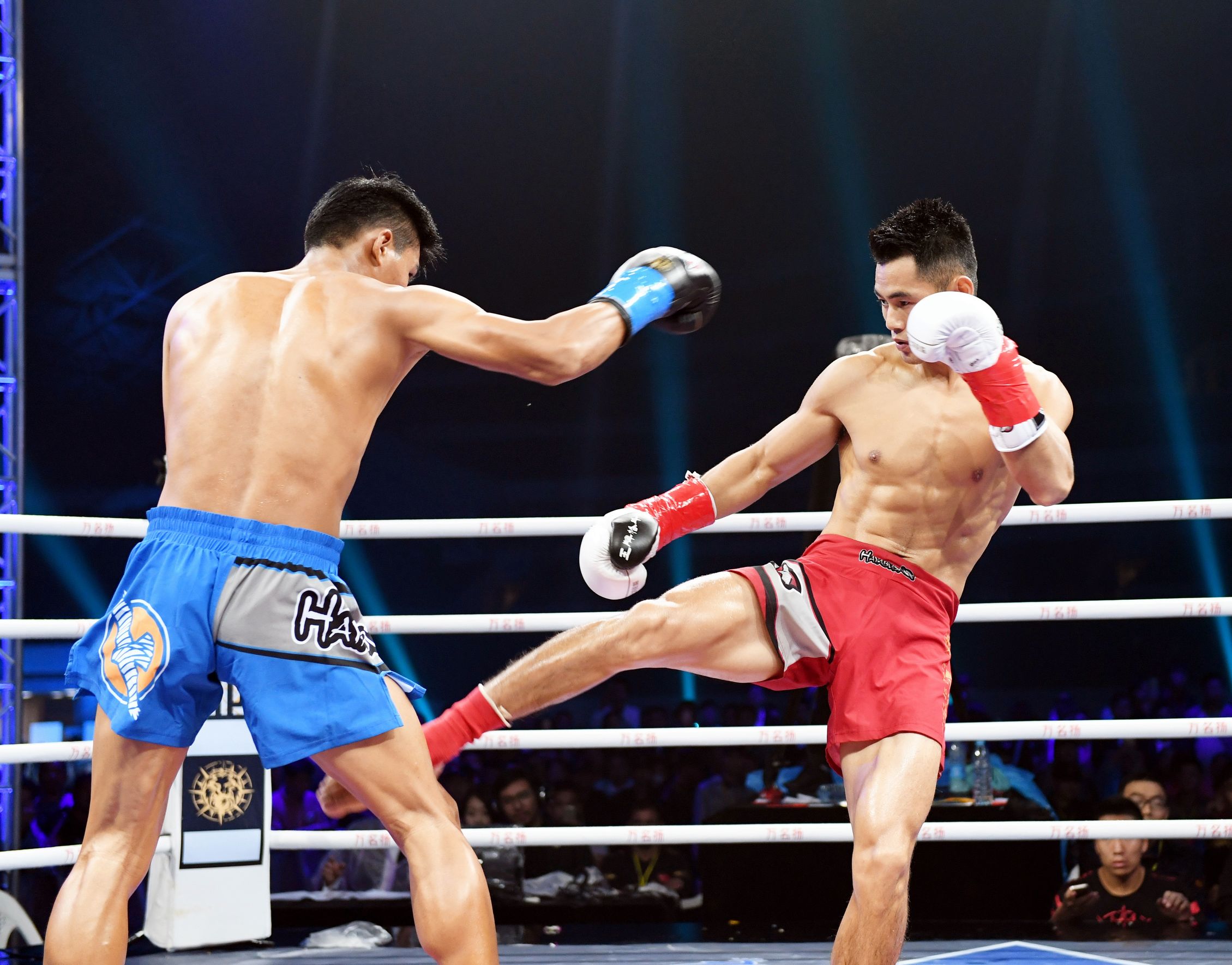 勇士的荣耀ko,勇士18年总决赛视频