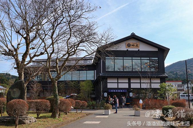 箱根温泉视频,箱根温泉深度解析