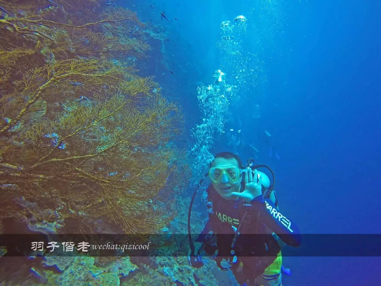 印尼美娜多旅游潜水攻略,印尼美娜多潜水圣地