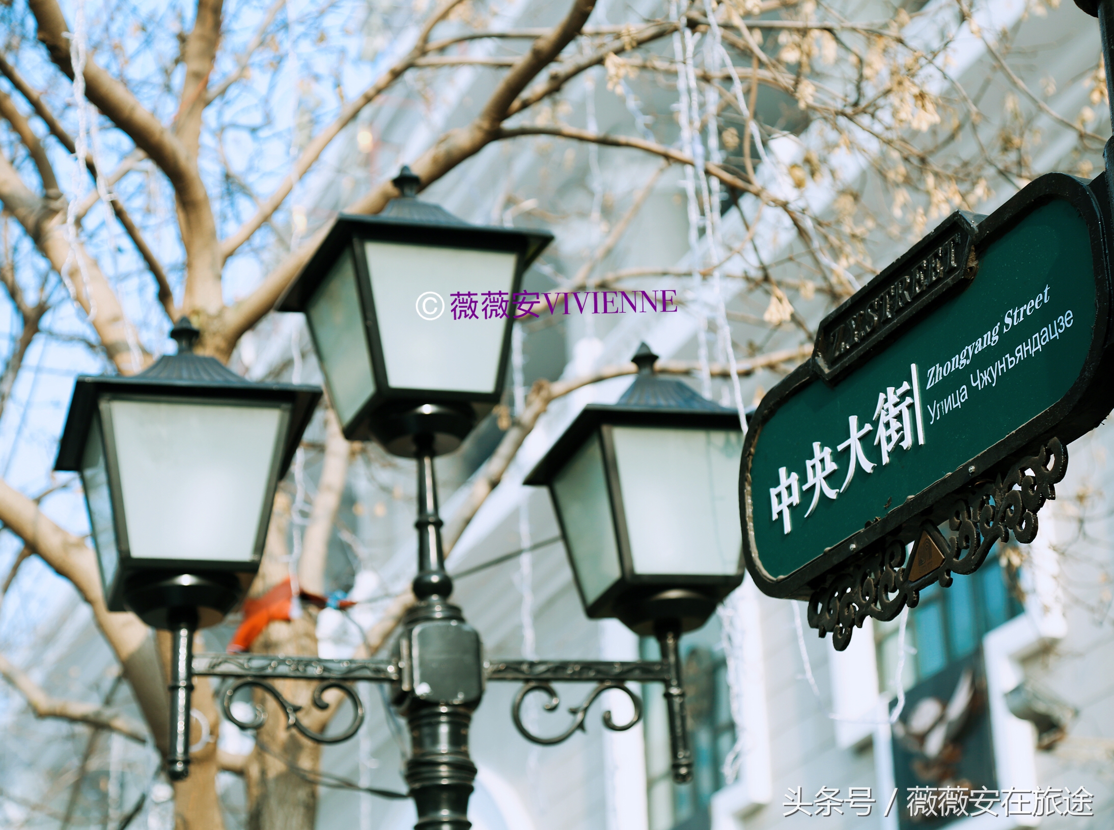 北国冰城之旅,奔赴冰城哈尔滨感受北国浪漫