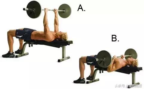 健身减脂增肌新手开始怎么练,新手增肌减脂训练计划