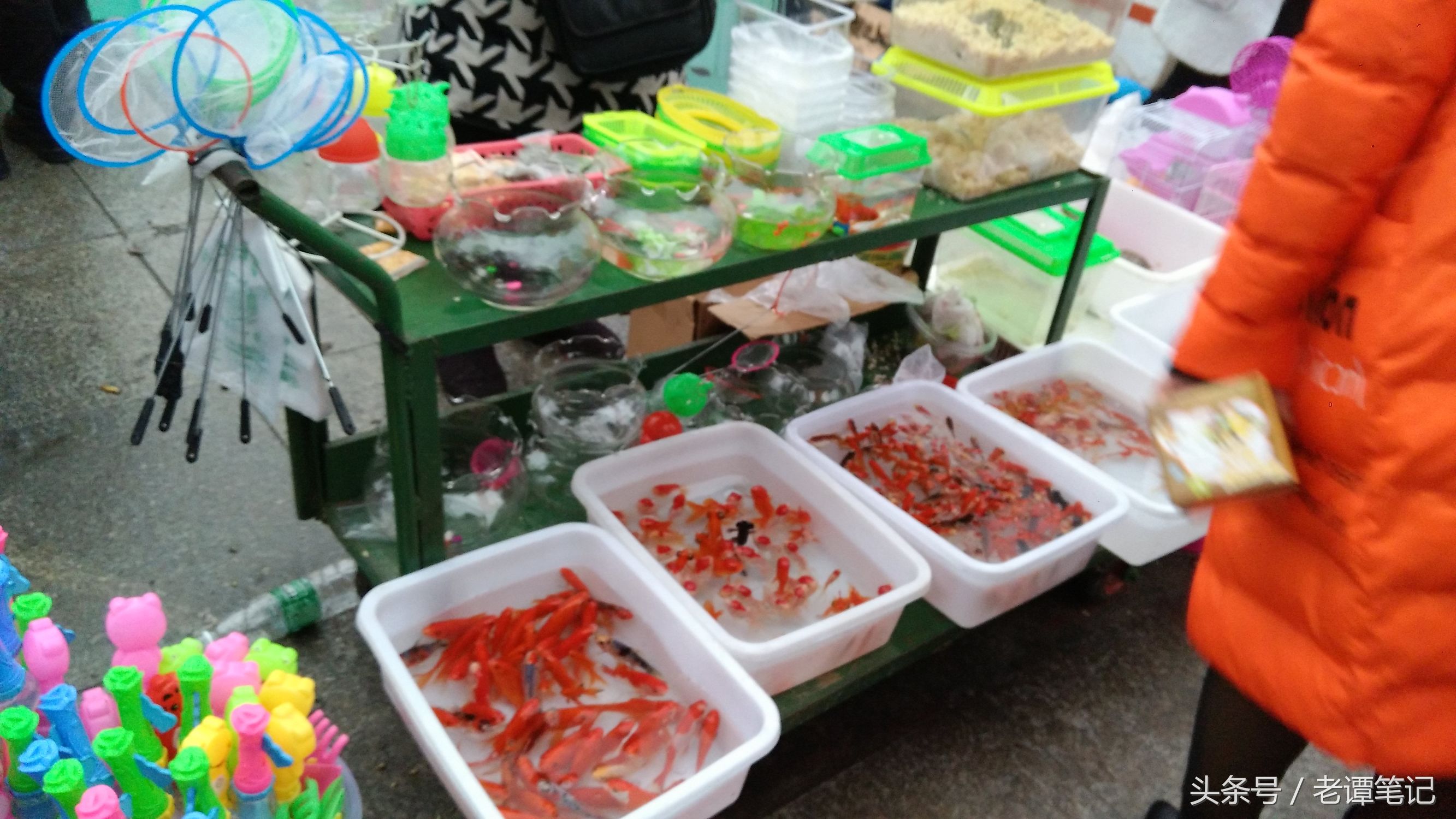 过年华蓥有什么好玩的地方,华蓥山附近有什么好耍的