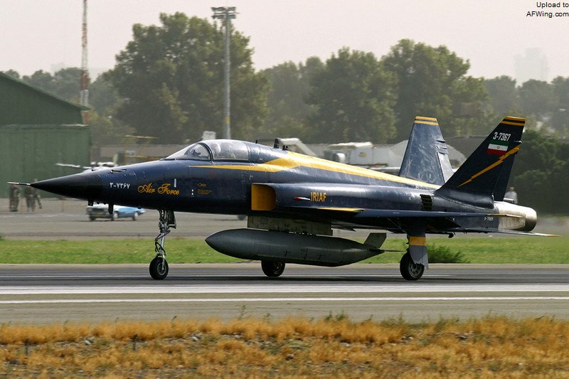 伊朗闪电战斗机战斗力,伊朗双垂尾波斯老虎