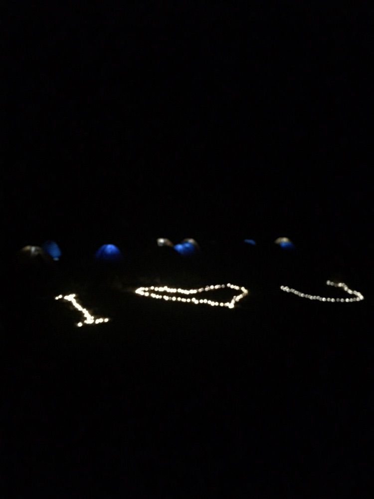 我爱远方风景,我爱远方和自由