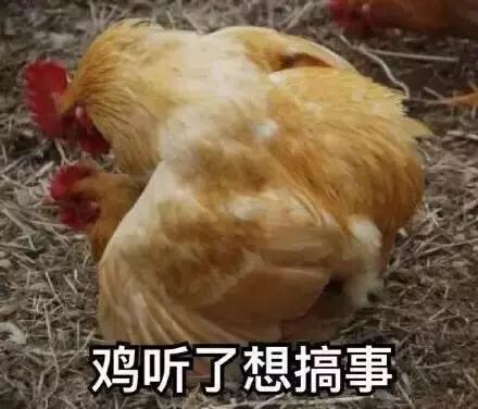 各大牌鸡年限定,外国人对鸡看法