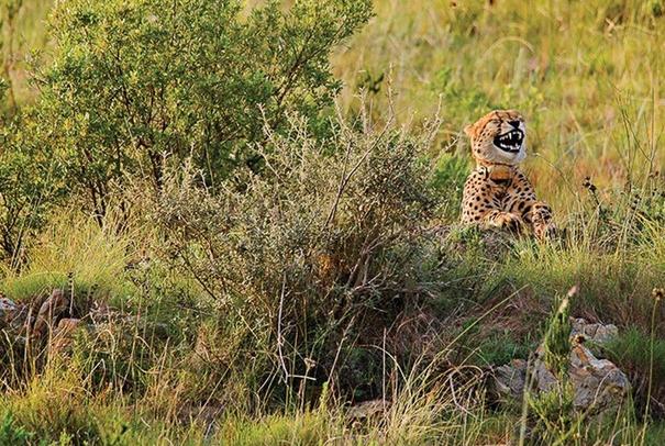 为什么不能轻易拉黑一个人,动不动就拉黑一个人意味着什么