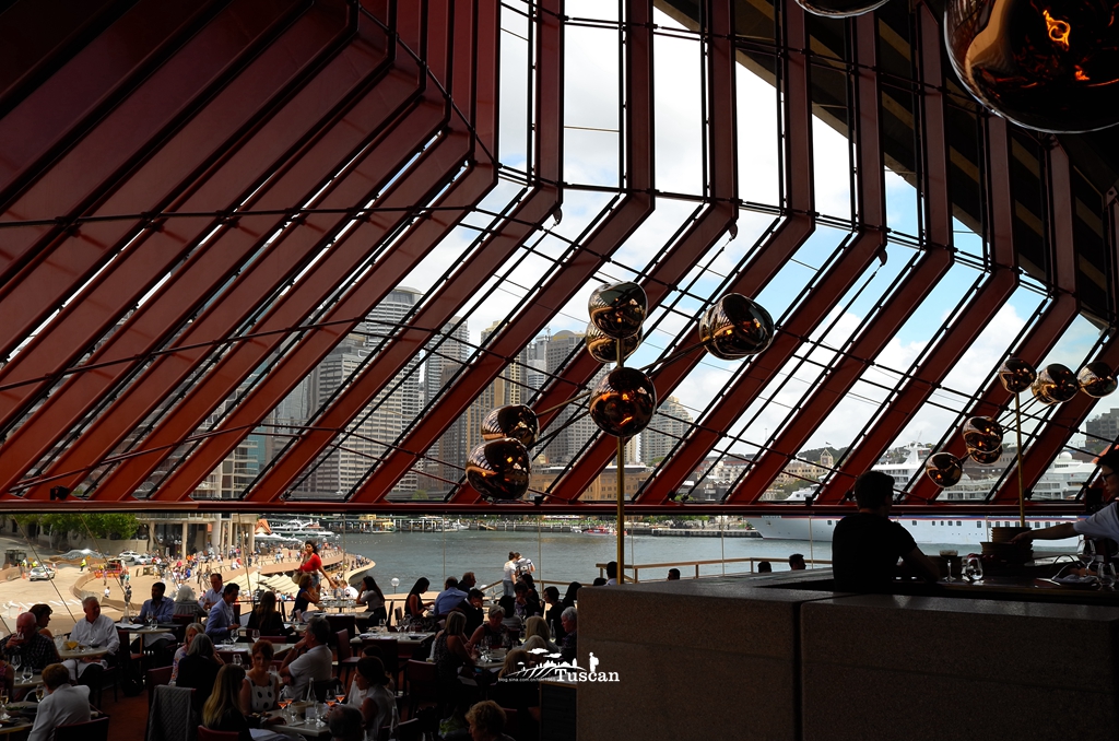 悉尼旅游攻略网红,怎么攻略悉尼