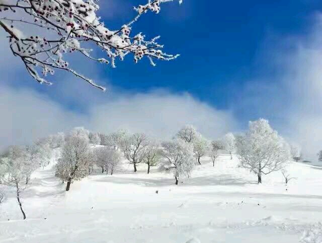 伊春的壮美之冬,伊春的风景区