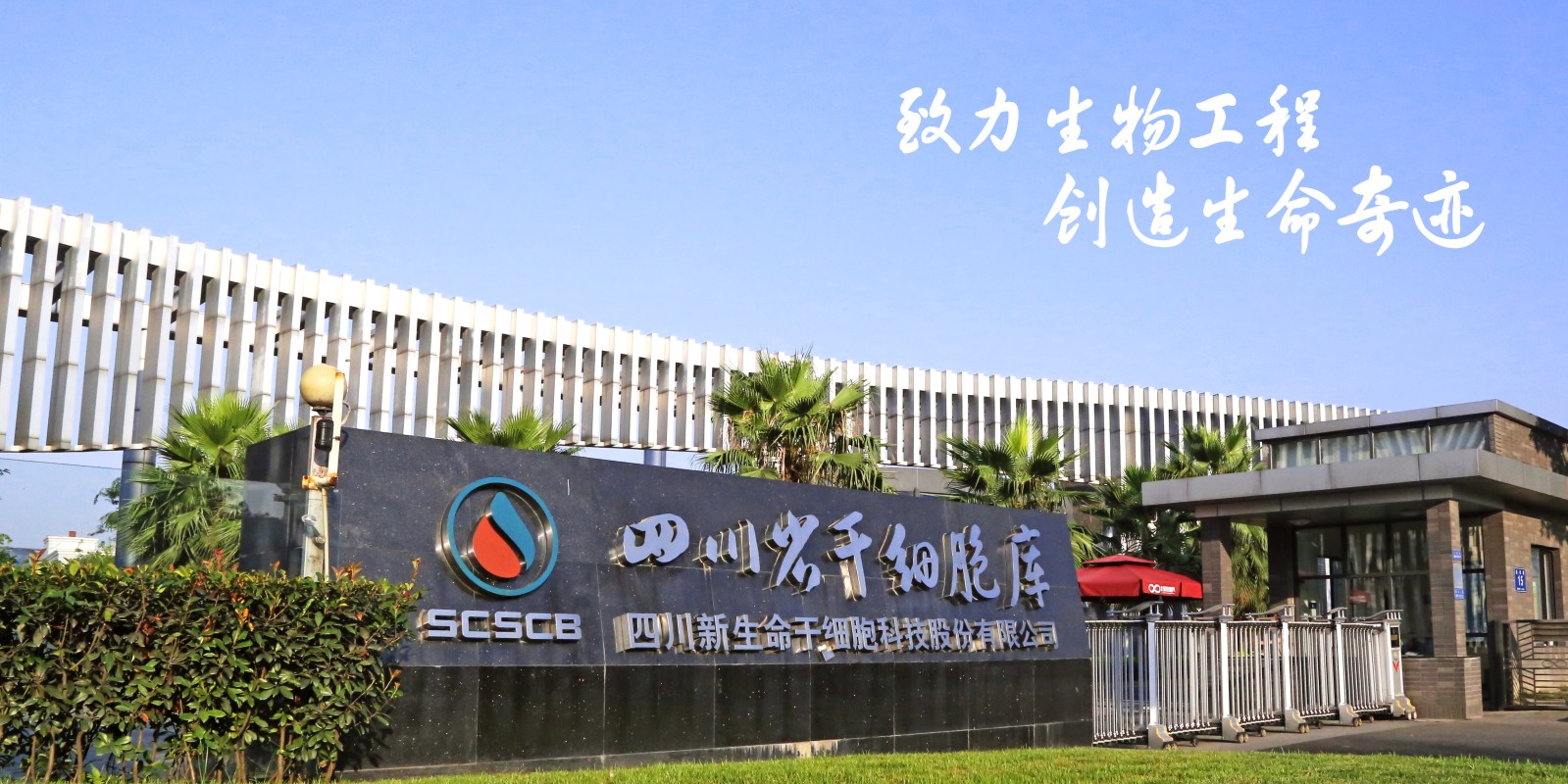 不知道怀孕吃了很多不该吃的东西,不知道怀孕吃了各种食物